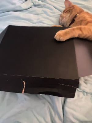 A post by @dominique1066 on TikTok caption: So excited to read my new book “PHANTOM” by  @greerriversbooks #greerriversbooks #phantom #phantomoftheopera #BookTok #unboxing #asmr  #catlife #books #Love  