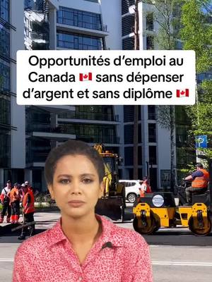 A post by @sansdiplomecanada on TikTok caption: Opportunités d’emploi au Canada 🇨🇦 sans dépenser d’argent et sans diplôme. #offreemploi #jobcanada #travailleraucanada #siteemploicanada #vivreaucanada #permisdetravail #sansargent #educational #pourtoi #fyp 