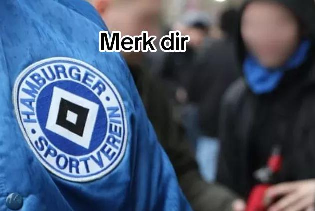 A post by @whiskyrauber on TikTok caption: #hamburg #fotboll #club #vereinsliebe #hsv #pyro #1312 #acab #freiheitfürultras #hooligans #ultras #nordtribünehsv #fyp #fypシ゚viral #viral #foryou 