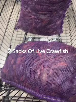 A post by @rowzay504 on TikTok caption: #neworleans #foryou #fyp #fypシ゚viral #crawfish #boiledcrawfish #seafood #crawfishboil #seafoodlover #crawfishtime #crawfishseason #seafoodlover #explore #public #louisiana 