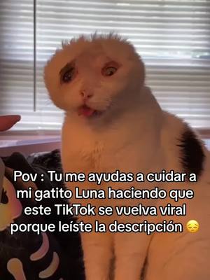 A post by @salva_lunaa on TikTok caption: Mi gato Luna lleva enfermo varios meses, y su sufrimiento persiste. Tememos que solo le queden unos pocos días de vida 😖... Él es todo para mí, y me niego a perderlo 💞. Lamentablemente, como joven, carezco de los recursos financieros necesarios para cubrir sus cuidados. Por esta razón, he considerado utilizar TikTok como una vía para recaudar fondos y salvar a Luna. Para lograrlo, cuento con tu apoyo. El objetivo es hacer que este TikTok se vuelva viral y así financiar los cuidados de Luna. Te solicito que te suscribas a mi cuenta y compartas mis videos en TikTok para darlos a conocer. Cuanta más visibilidad, mayor potencial de ayuda. Gracias a ti, podría ofrecerle a Luna una última oportunidad. Un inmenso agradecimiento si decides colaborar 🥹❤️‍🩹 #tiktokespaña #gato #gatostiktok #ayuda #ayudame 