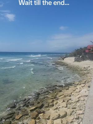 A post by @lopezfairlady on TikTok caption: I flash back to all the time I jumped into the deep with no fear because they told me there was no shark. #Oslob #itsmorefuninthephilippines #cebusouth #babyshark 