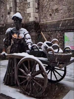 A post by @_satiz_ on TikTok caption: #snowday #dublin #letitsnow #mollymalone #wrenurbannest #snowyweekend #springvibes #snowinireland❄️🇮🇪 #whitecity @wrenurbannest 