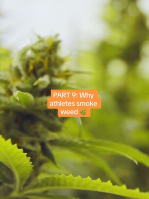 A post by @athleticinterest on TikTok caption: PART 9: Why athletes smoke weed 🌿 #athleticinterest 