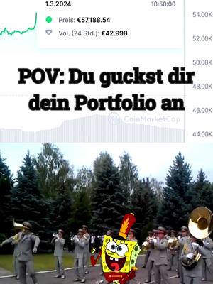 A post by @freeman_edits on TikTok caption: POV: Du guckst dir dein Portfolio an #Meme #crypto #bitcoin #krypto #portfolio