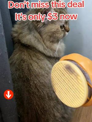 A post by @pet..supplies on TikTok caption: This is the best brush I have ever used #catlover #catmom #catsoftiktok 