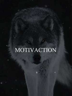 A post by @motivactionmind on TikTok caption: je n'ai jamais réussi à m'intégrer ◾ #sigma #wolf #motivation #mindset #haine