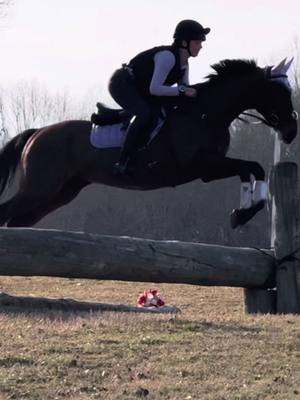 A post by @horsejumping12 on TikTok caption: i miss aiken so much 😭 #foryou #page #horse 