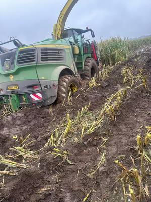 A post by @tomgaythorpe on TikTok caption: All sh💩ts and giggles …… until someone giggles ans sh💩ts #maize #forager #fendt #farming #backbritishfarming #agriculturalcontractor #youngfarmer 