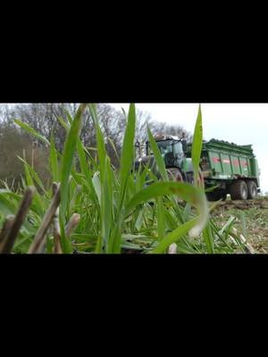 A post by @landwirtschaft2 on TikTok caption: sau geil , oder was sagt ihr 💪🔥🔥 #landwirtschaft #ballern #landwirtschaftausleidenschaft #fendt #2024 #geil #einsatzgruppehektar #mücke #jcb #radlader #geil #hektar  #nofarmersnofood 