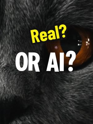 A post by @thenorthpics on TikTok caption: Give it a guess!  #ai #cat #real #fördig #fyp 