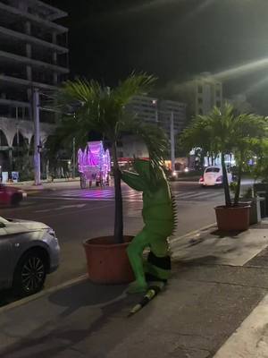 A post by @yesa_dance20 on TikTok caption: La monja, Iguanin y Ranky Yanky saben como poner la diversion 🤪 #iguana #diversion #acapulco #fyp #bailedepeluches #botargas #viral #parati 