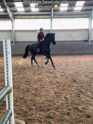 A post by @lisa.cvst on TikTok caption: Habt ihr probleme mit Wassergräben? 🌊 Am Ende haben wir es dann doch noch drüber geschafft 🫡 #roiderrappe#roiderlappen#roiboy#horse#horsegirl#trending#fyp