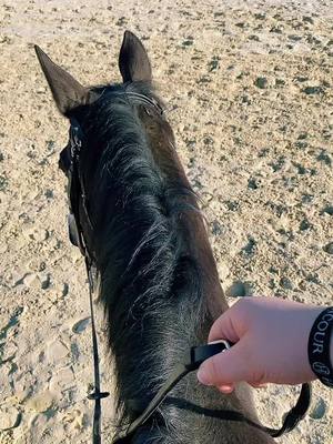 A post by @lydie_compagnie on TikTok caption: 20 ans après 🤣🐴 Ma Ferrari ❤️🥰🐴 @clem_52140 #devinelapersonne #pourtoi #foryou #equitation #cheval #horse #horseriding  Brouillon qui date 😅