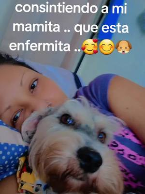 A post by @kimyolith on TikTok caption: tengo a mi mama .. pero también a mi abuelita .. #Love #perro #parati #mama #viral 