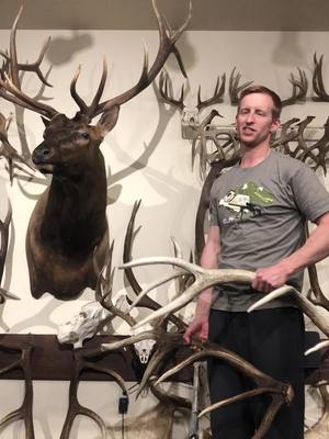 A post by @stuckntherut on TikTok caption: I love having history with a big bull. As a reminder, you get 10% off on all Phelps Game Calls using Code: Rut10 #stuckntherut #elkhunting #buglingbulls #elkhunt #bowhunting #archerylife 