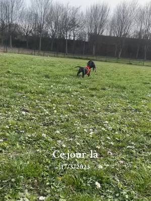 A post by @pacostaffie91 on TikTok caption: #cejour-là 