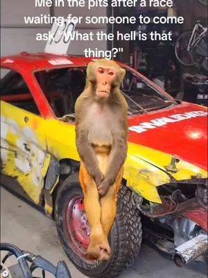 A post by @orlowskiracing on TikTok caption: #Meme #MemeCut #CapCut #hyundai #hammargrenracingdevelopment #racecar #cartok #trending #bumpandrun #derby #fyp #foryou 