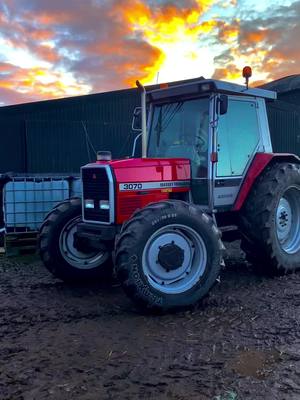 A post by @bethclaw on TikTok caption: 🤷‍♀️ #agrisdoitbest #farming #agriculturetiktok #agrispec #backbritishfarming🇬🇧 #agrilass #shropshire #masseyferguson 