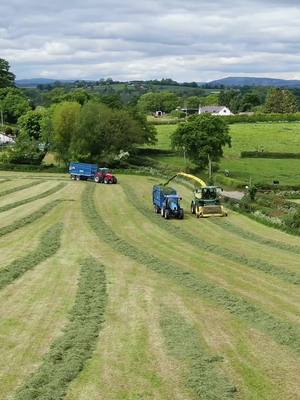 A post by @farm_hub_ on TikTok caption: Throwback to 2021 Silage 🌾 #agriculture #agri #fyp #Summer #silage #johndeere #country #ag #tractor #agrispec #masseyferguson #shropshire #britishagriculture 