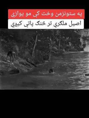 A post by @farhadhassanzai54 on TikTok caption: #پشتون_تاجیک_هزاره_ازبک_زنده_باد🇦🇫 