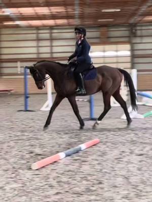 A post by @horsejumping12 on TikTok caption: it’s getting betterrr 💪💪 #foryou #page #horse 