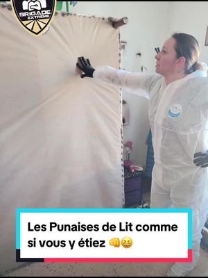 A post by @brigade_extreme on TikTok caption: Infestation punaises de lit de niveau 3 dans un appartement marseillais ! La Brigade Extrême en collaboration avec Jean-Michel Bérenger du service d'entomologie à I'HU Marseille ainsi qu'avec le service de coordination marseillaise de santé mentale et habitat. La dame à la santé précaire a été prise en charge en hospitalisation par l'IHU Méditerranée Infection durant la durée du traitement. @soniaparodi5 l'experte marseillaise des punaises de lit 👊 #pourtoi #brigadeextreme #bedbugs #punaisesdelit #hygisud3d #marseille #fypシ #bedbug #foryou #fyp @Le Marseilleur 