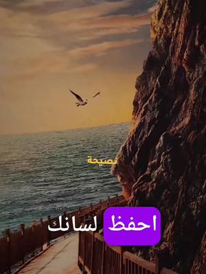 A post by @walialamimohamed on TikTok caption: #امثال #حكم #ابداع #السعودية #فن #اقتباس #العراق #حزن #الكويت #مصر #المرأة #نساء #الجزائر🇩🇿 #المغرب #تونس  نصائح تغير حياتك نصائح للتقرب من الله نصائح لتقوية شخصيتك نصائح وحكم وعبر عن الحياه نصائح عن الحياة نصائح لراحة البال نصائح مؤثرة نصائح لتكوني قوية@ZK LE VRAI @VIP_I54🇲🇦 @waly quiz 