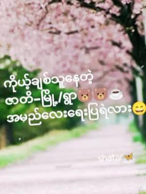 A post by @janjanshatar on TikTok caption: #ရေးပြရဲလား😜😜😜 #janjanshatar🦋