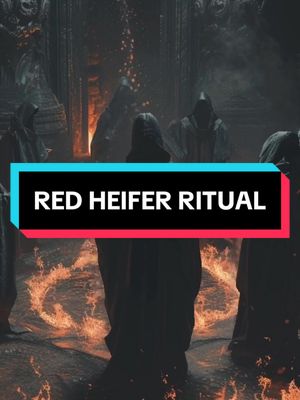 A post by @ummahchronicles on TikTok caption: Follow for Part 2. The red heifer ritual. #redheifer #ritual #islam #blackmagic #sacrifice #eclipse #prophet #historic #spirituality #god #faith #hadith #muslim 