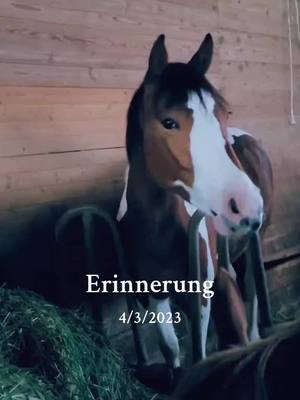 A post by @xxxmellibondxxx on TikTok caption: #erinnerung 