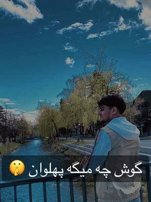 A post by @m.sarwary.12345 on TikTok caption: #CapCut #CapCut #switzerland🇨🇭 #afghanistan🇦🇫 #like #fallow #music #like 