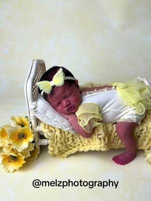 A post by @melzphotography on TikTok caption: 💛 I’ve had this yellow outfit since forever & no one has requested yellow 😅 BUT today’s mom agreed her baby girl was the perfect model for it 😍💛  ⬇️Vendor details for everything ⬇️ Yellow romper @divaprops  Backdrop @r2backdrops  Bed @luneberry_designs  Bonnet NO clue, doesn’t have a tag 🥹 Pink Posing Backdrop @one_sheep_two_sheep  Pink Wings @asweetsweetboutique  Pink Halo & Grey Headband @pinkytinksboutique  Crown NO IDEA  Pink pearl wrap @pitterpatscreations  Grey Flokati A RANDOM WEBSITE LOL White Bear @propsly 