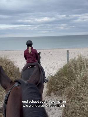 A post by @lisa.cvst on TikTok caption: Wart ihr schonmal mit euren Pferden am Strand? Falls nicht, denkt ihr sie würden es brav machen? 🙈 #roiderrappe#roiderlappen#roiboy#horse#horsegirl#trending#fyp#CapCut 