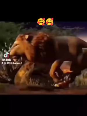 A post by @.909.k.4 on TikTok caption: #دويتو مع @💐جيش حمو 🦁 رحلة المليون 💐 