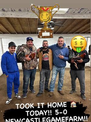 A post by @newcastlegamefarm on TikTok caption: TOOK IT HOME 🏠 TODAY!!! 5-0!! NEWCASTLE X LUCERNEVALLEY!!! #gallos #gallosfinos #gallosworld #gallosmexico🐓👌 #gallosmexicanos🇲🇽 #fyp #sweatergamefowl #dinkfair #gallosfinos💯 #kelso #giro #blueface #gallosdepela #jamescampbell #joebrown #hatch #asil #fypage #larryromero #genebatia #fyp 