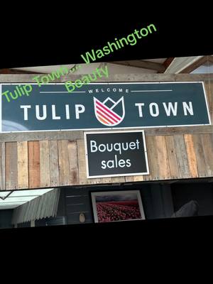 A post by @larryscott206 on TikTok caption: Tulip Town adventure…Beautiful Tulip Fields in N Washington!❤️😍😘#tuliptown #bearsoftiktok🐻 #Love #boomers #fun 