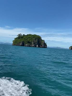 A post by @iambetty on TikTok caption: This was by far my favorite trip ever! #thailand #thailand🇹🇭 #thailandtiktok #thailandtravel #kohsamui #travel #travelinspo #tropical #island 