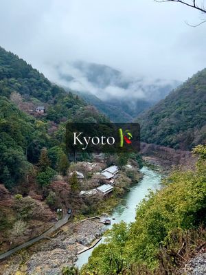 A post by @_martinavivio on TikTok caption: Trova qualcuno che ti porti a Kyoto🎋 avrà per sempre il mio cuore🫀#kyoto #inari #fushimiinarishrine #japan #japantiktok #japantravel 