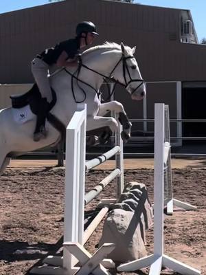 A post by @thomas_schillebeeckx on TikTok caption: Cazoo gearing up for West World 🤩#fyp #horsesoftiktok #maleequestrian #