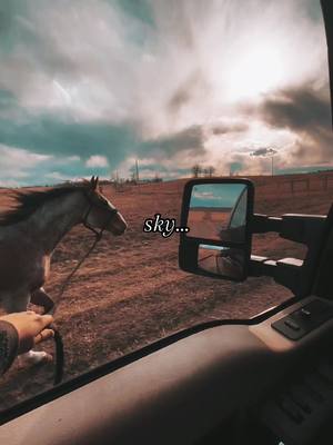 A post by @koleba.jd on TikTok caption: ❤️ strawberry roan horse bringing you some feels. #hancockhorse #redroan #ranchhorse #marepower #hancockhorses #cowboygirl #ranchher #ranching #horsetraining #cowboyshit #justyouraveragegirl #aqha #ranchhand #horsegirl 