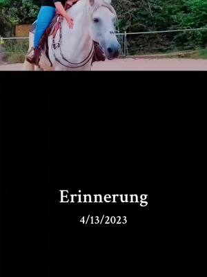 A post by @xxxmellibondxxx on TikTok caption: #erinnerung 