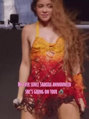 A post by @rockey24bz on TikTok caption: Let’s gooooooooo!!! See you all in November!! ❤️🐺 #shakira #bzrp #lasmujeresyanolloran #worldtour #lasmujeresyanolloranworldtour #rockey24bz #thesscircus #coachella #coachella2024 #shewolf #loba #laloba 