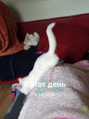 A post by @jurirerich on TikTok caption: #ВэтотДень 