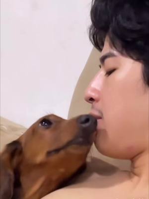 A post by @maxtul808 on TikTok caption: @MARKPAKIN #markpakin #gmmtv #thaibl #thailand #boyslove #cutedog #narak 