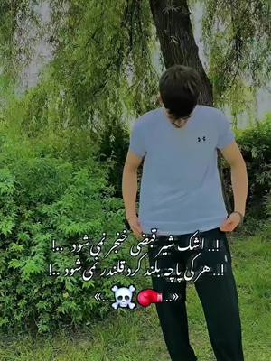 A post by @ziikoyak on TikTok caption: #afghanistan #foryou #tank_afghanistan #تاجیک_هزاره_ازبک_پشتون_ترکمن🇦🇫 