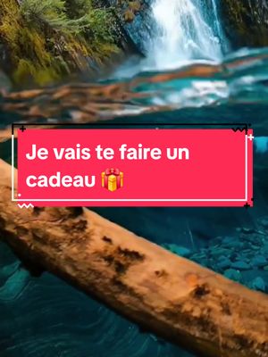 A post by @laloidelattractionia on TikTok caption: Je vais te faire un cadeau #signedelunivers #abondance #manifestation #univers #angegardien 