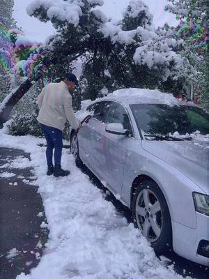 A post by @vierurobert98 on TikTok caption: #foryourpage #cupcatedit #fypシ゚viral #audi #snow❄️ 😄😄 #aspacardinaoleu 