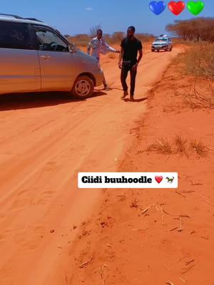 A post by @cadaala_camey on TikTok caption: Snapchat: Cadaala01 #cadaala1 #khatumostate🐎 #foryoupage #buuhoodle♥️ #somalitiktok 