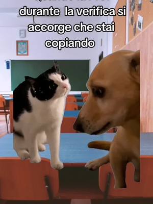 A post by @jackinapasticcina on TikTok caption: 😰  #Meme #fyp #CapCut #dog #neiperte #scuola 